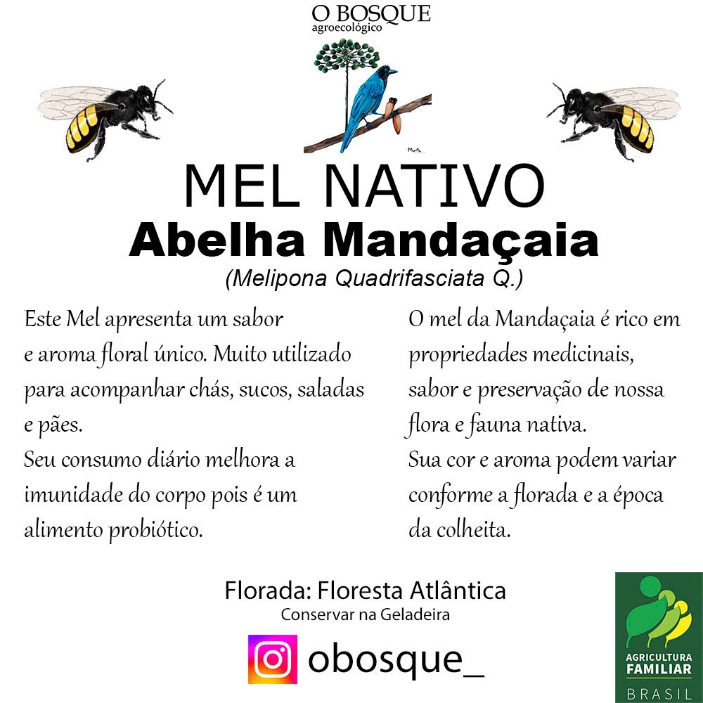 Kit 1 Mel de Abelha Nativa Mandaçaia + 1 Chá Orgânico à Escolha - Imagem 3