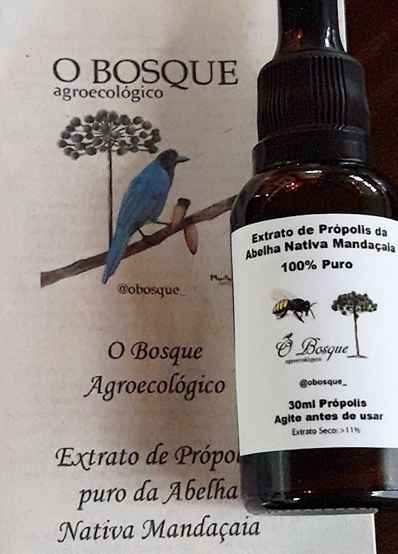 Extrato de Própolis da Abelha Mandaçaia. Frasco Conta-Gotas. 30ml - Imagem 3