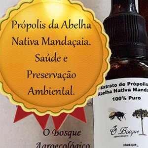 Extrato de Própolis da Abelha Mandaçaia. Frasco Conta-Gotas. 30ml