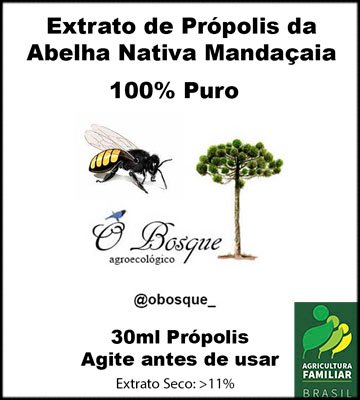 Extrato de Própolis da Abelha Mandaçaia. Frasco Conta-Gotas. 30ml - Imagem 2