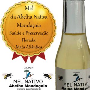 Mel Da Abelha Nativa Mandaçaia. 100ml 100%PURO Produção Própria.