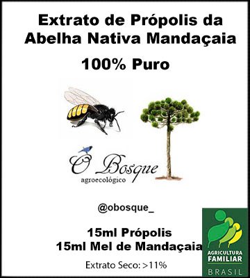 Spray de Própolis com Mel da Abelha Mandaçaia. 15ml Própolis 15ml Mel. Frasco Spray 30ml. - Imagem 3