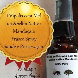 Spray de Própolis com Mel da Abelha Mandaçaia. 15ml Própolis 15ml Mel. Frasco Spray 30ml.