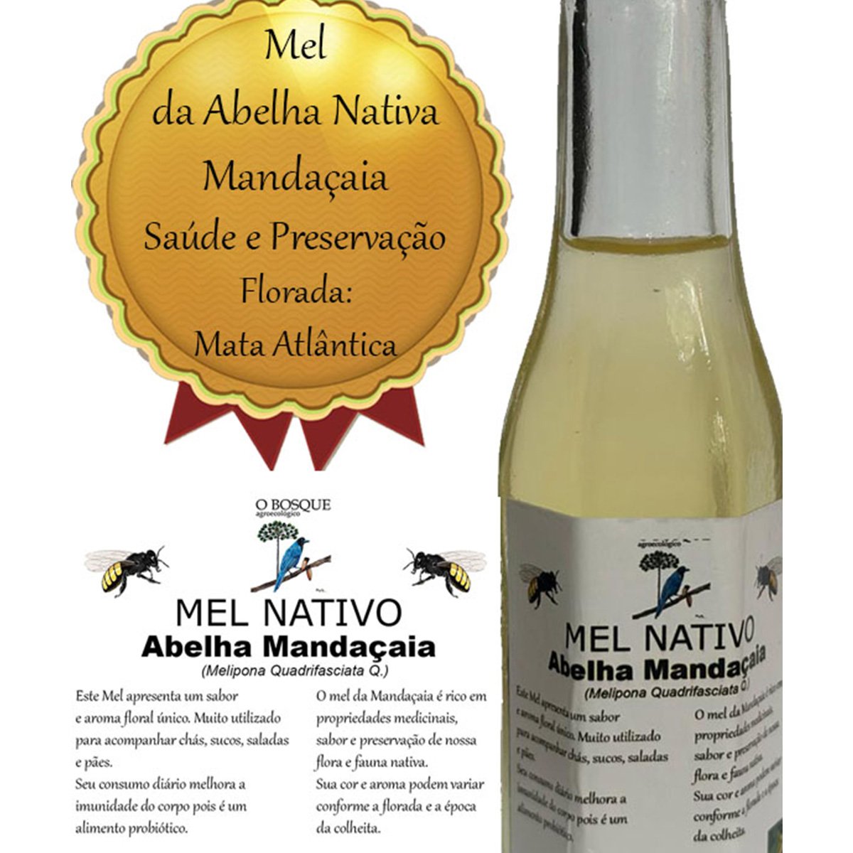 Mel Da Abelha Nativa Mandaçaia. 100ml 100%PURO Produção Própria. - Imagem 2